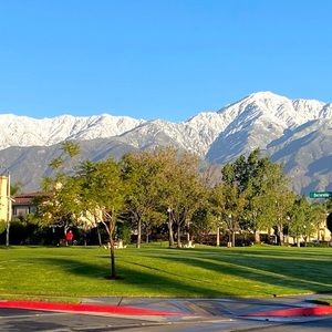 Meet your Posher, Dawud